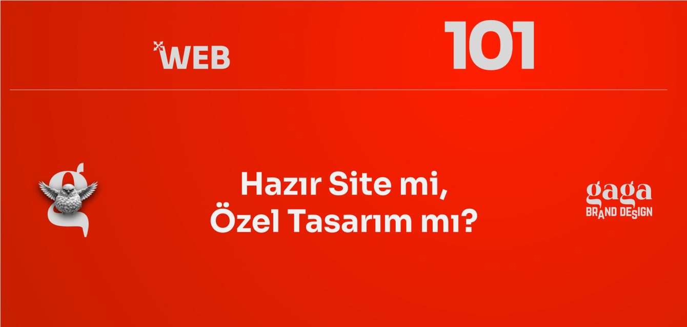 03-Hazir-Site-mi-Ozel-Tasarım-mi-Web-101-gaga